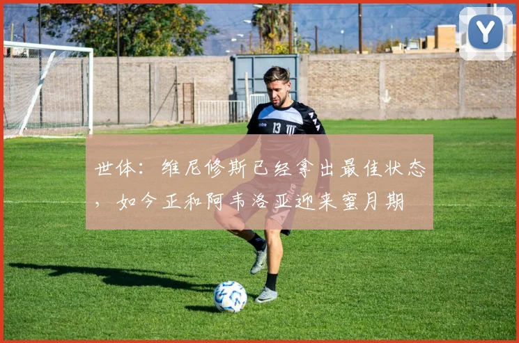 世体：维尼修斯已经拿出最佳状态，如今正和阿韦洛亚迎来蜜月期